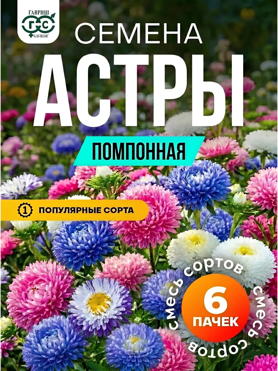 Астра семена помпонная кустовая