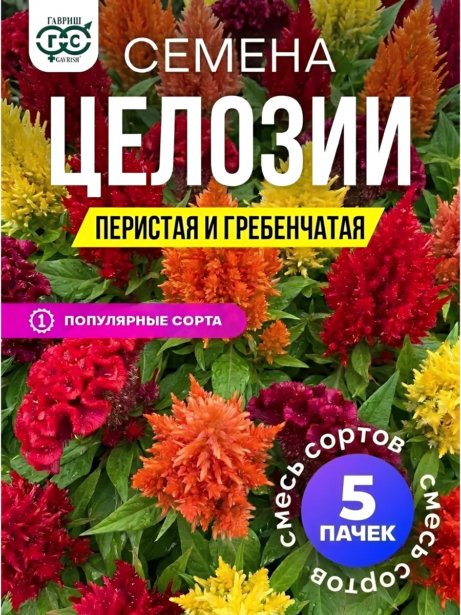 Целозия семена гребенчатая и перистея