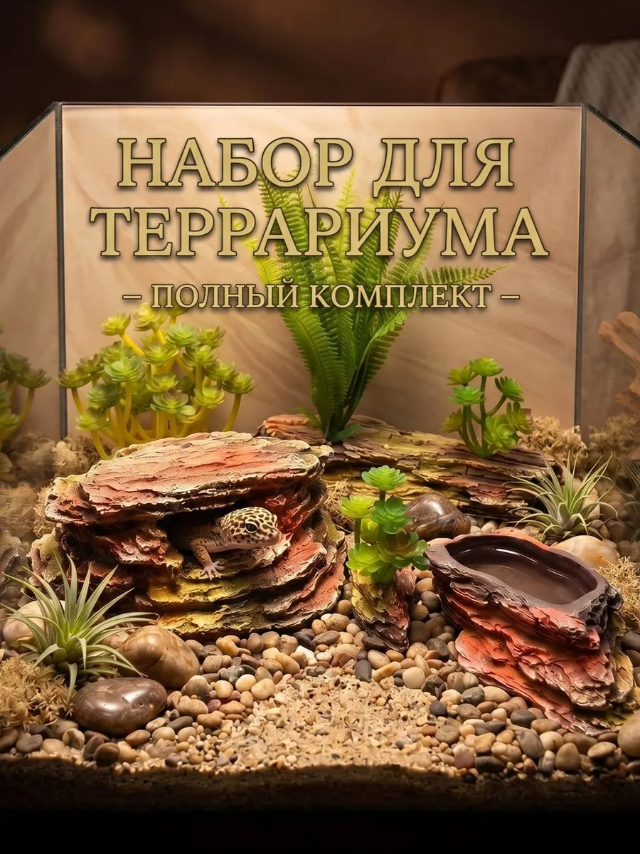 Влажная камера, кормушка - поилка, суккуленты - набор