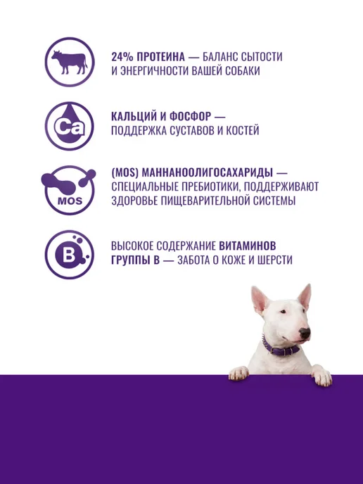 Сухой корм Klatz для собак, взрослые, крупные, говядина, 10 кг, фото 3