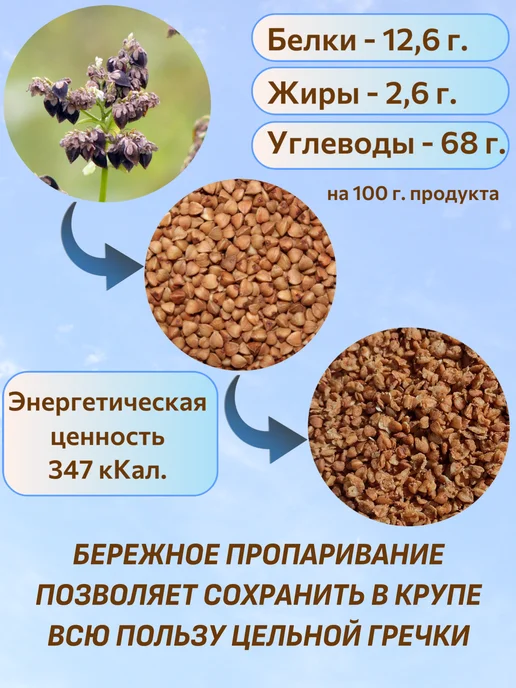 Вкусные запасы Крупа гречневая не требующая варки 3 кг, 3 кг, фото 3