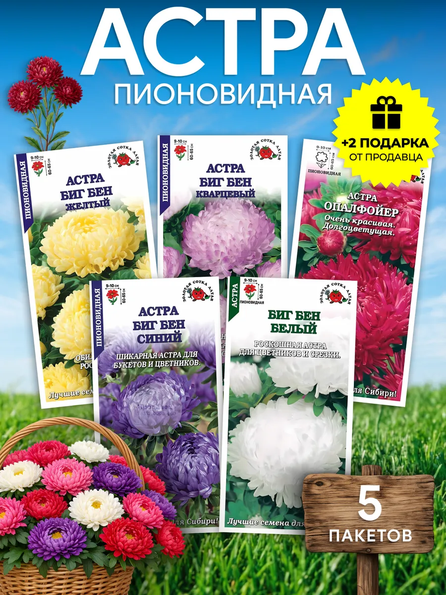 Набор семян астр №939