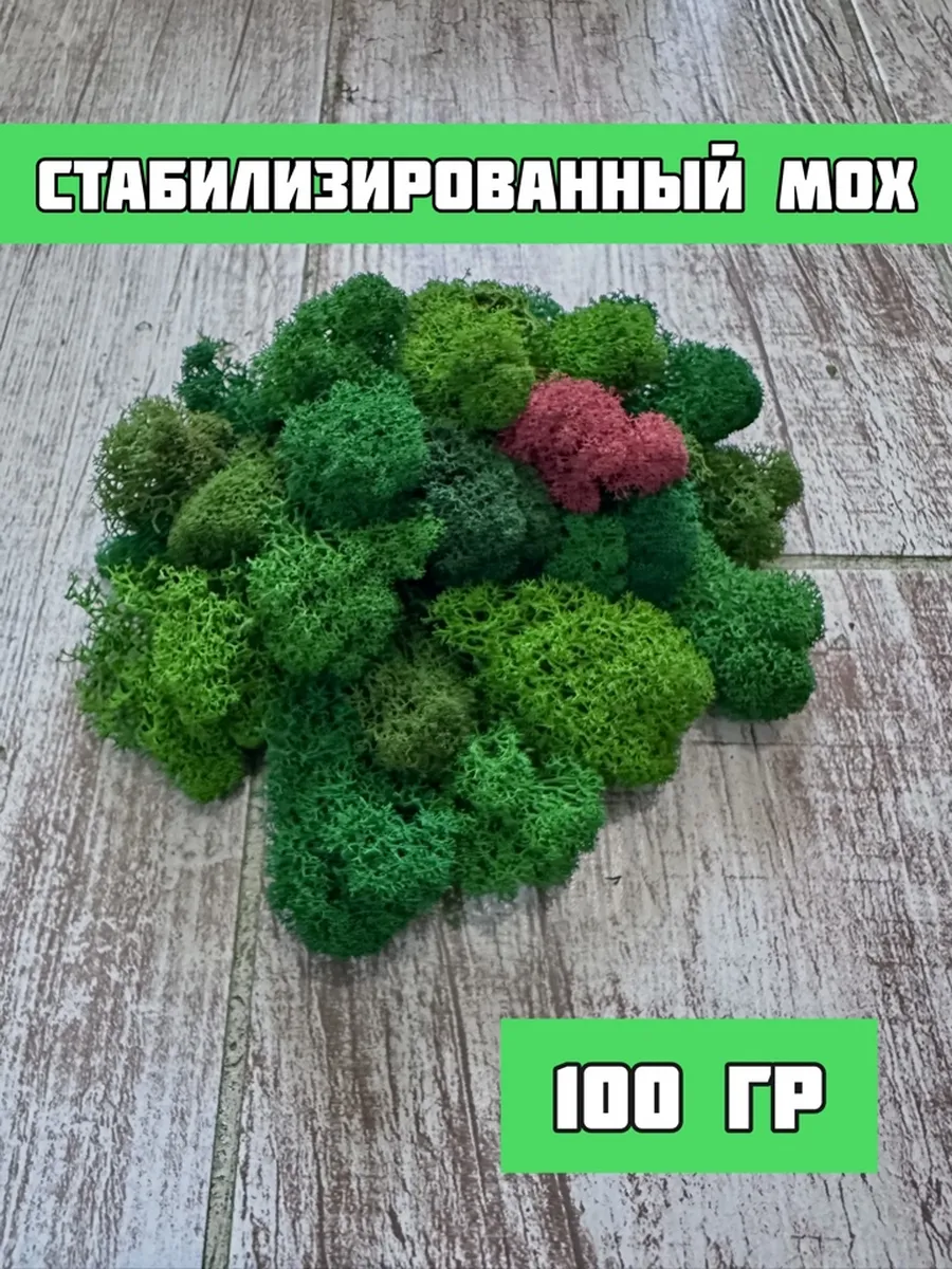 Стабилизированный мох цветной микс 100 гр (флористический)