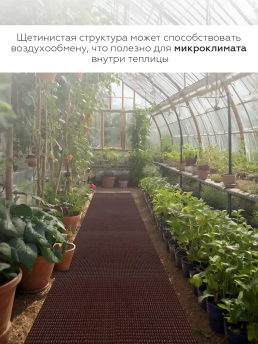 Руккола Садовая дорожка травка 90х400, 90x300, фото 2