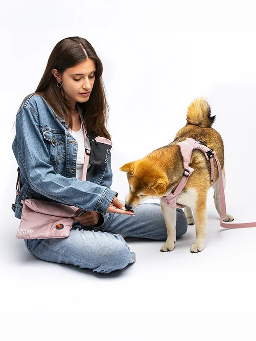 United Pets Сумка для прогулки с питомцем 23 x 16 см, 23x16 см, фото 2