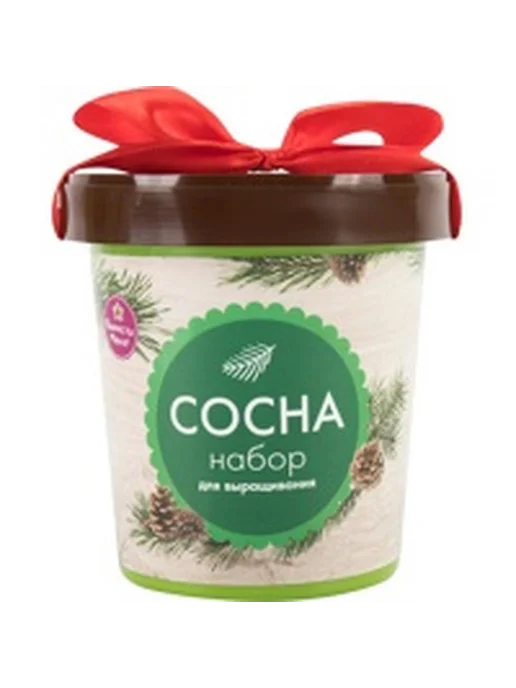 Сосна в горшке, вариант