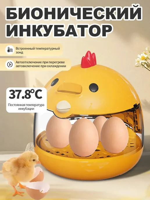 Мини автоматический инкубатор для яиц для дома и обучения, вариант