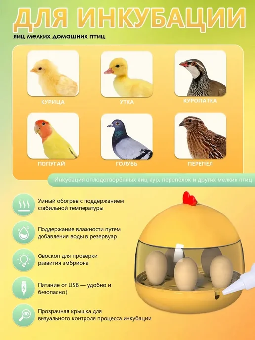 Мини автоматический инкубатор для яиц для дома и обучения, вариант, фото 5