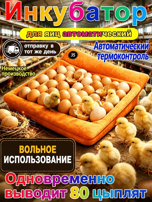Инкубатор для яиц автоматический с терморегулятором, оранжевый