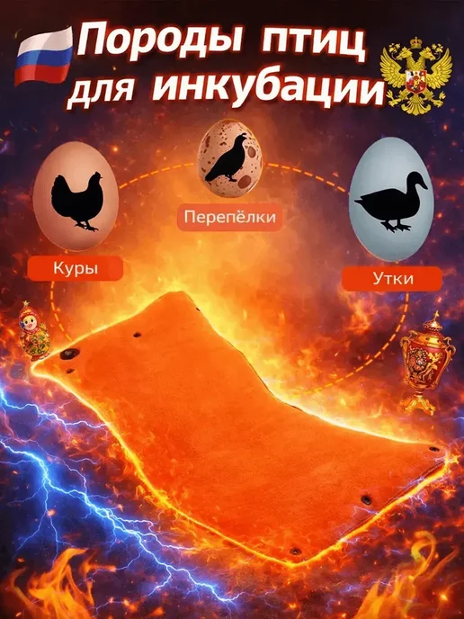 Инкубатор для яиц автоматический с терморегулятором, оранжевый, фото 6