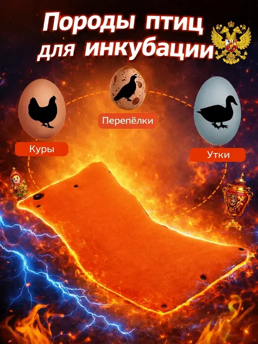 Инкубатор для яиц автоматический на 64, вариант, фото 2