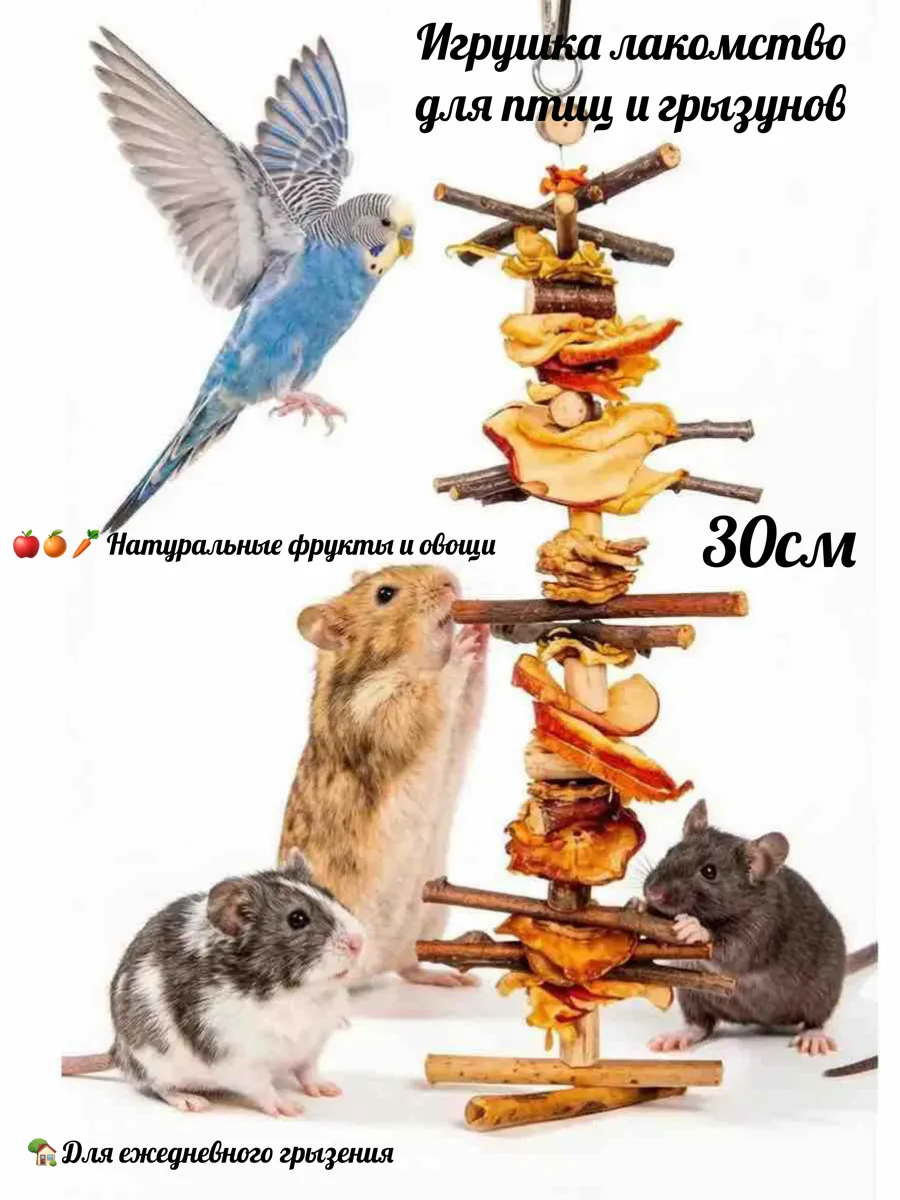 Игрушка лакомство для попугаев шиншилл крыс птиц и грызунов
