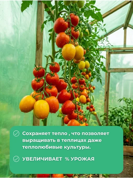 Многолетняя зеленая Многолетняя пленка зеленая 120мкм 4х12м, 4x12 м, фото 4