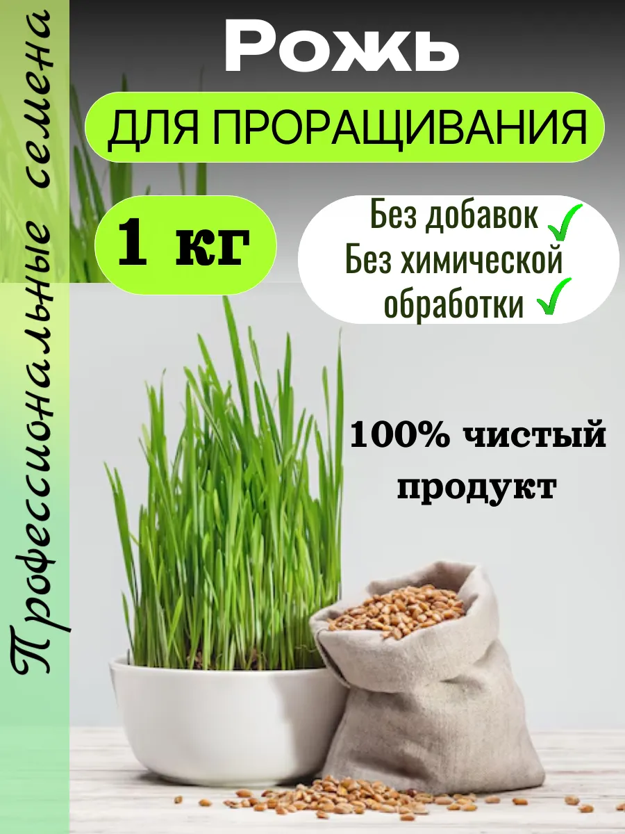 Рожь для проращивания 1 кг