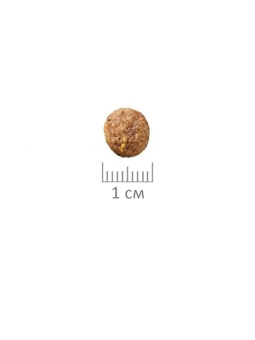 Сухой корм Probalance Рацион Гурмана для собак, говядина, 1,832 кг, фото 8