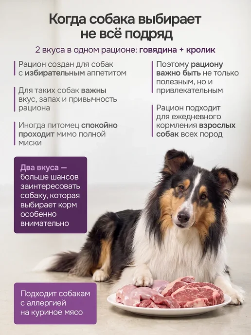 Сухой корм Probalance Рацион Гурмана для собак, говядина, 12 кг, фото 3