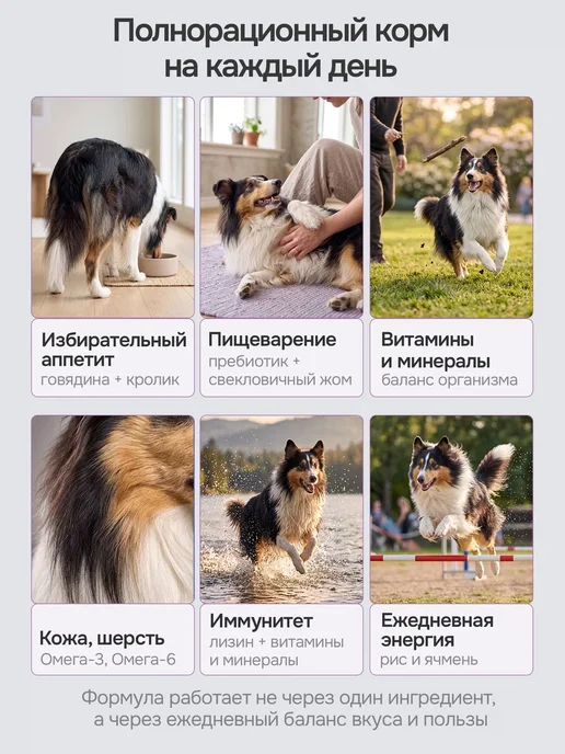 Сухой корм Probalance Рацион Гурмана для собак, говядина, 12 кг, фото 5