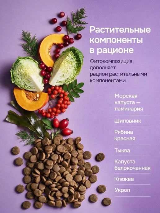 Сухой корм Probalance Рацион Гурмана для собак, говядина, 12 кг, фото 6