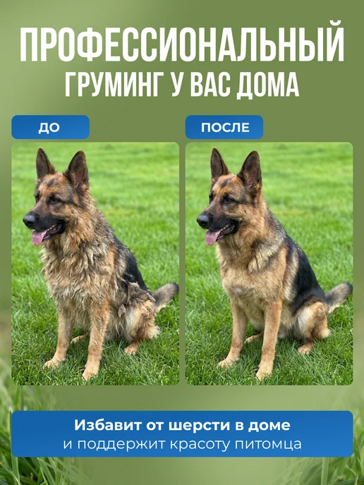 Расческа чесалка дешеддер для кошек и собак, синий, фото 5