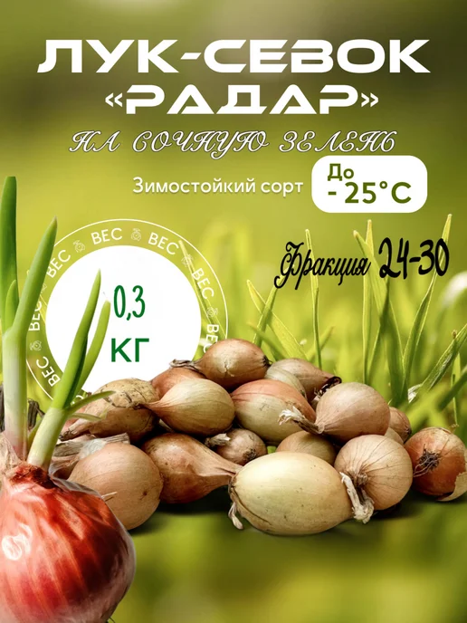 Лук-севок озимый на посадку Радар 1 кг, 300 г