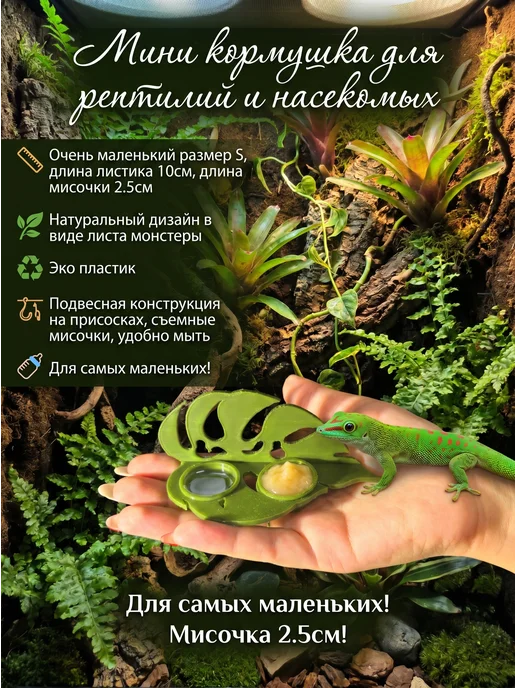 Мини кормушка поилка для карликовых гекконов, зеленый