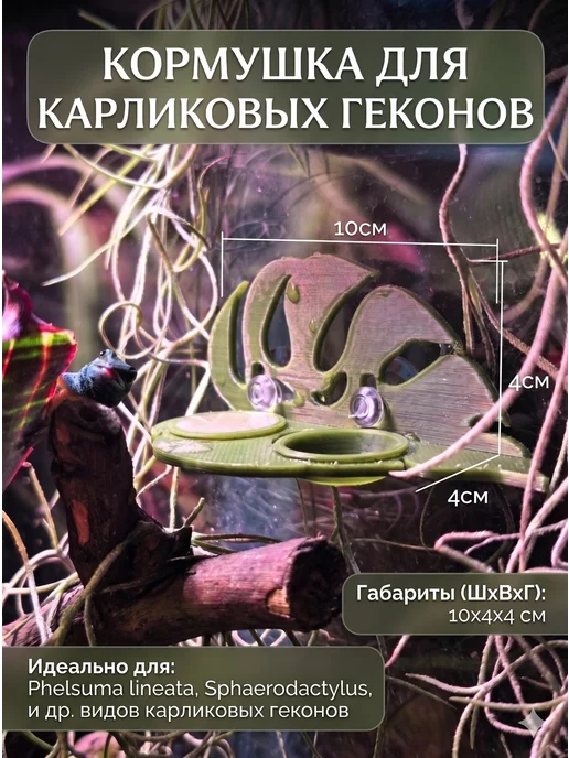 Мини кормушка поилка для карликовых гекконов, зеленый, фото 2