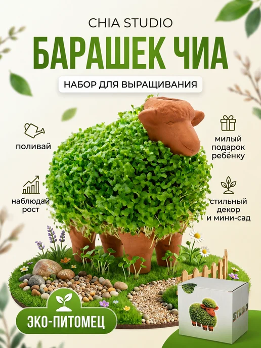 Набор для выращивания микрозелени Барашек с семенами чиа, вариант
