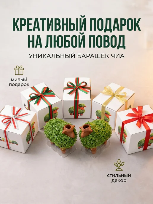 Набор для выращивания микрозелени Барашек с семенами чиа, вариант, фото 4