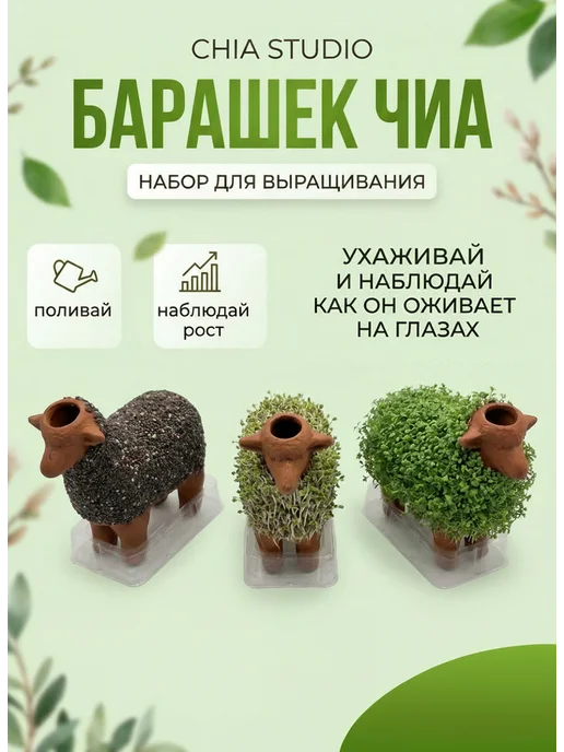 Набор для выращивания микрозелени Барашек с семенами чиа, вариант, фото 7