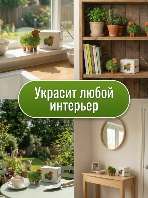 Набор для выращивания микрозелени Барашек с семенами чиа, вариант, фото 8