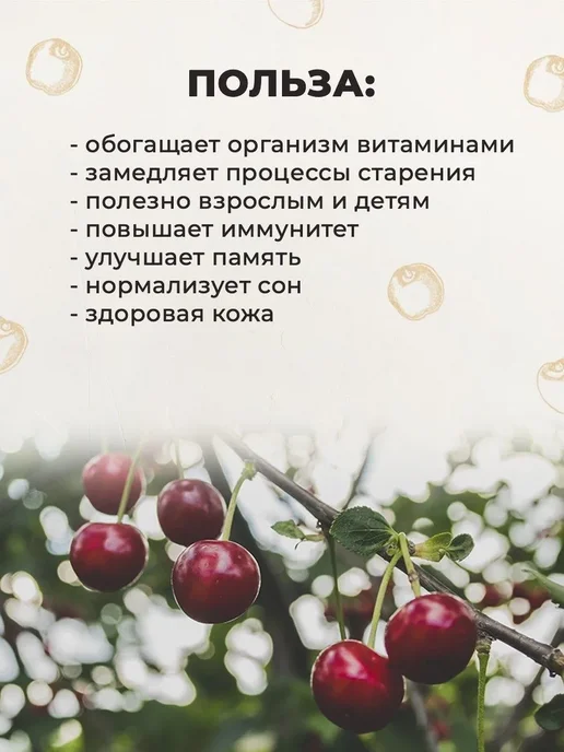 FoodCITY Вишня сушеная 500 грамм с косточкой, вариант, фото 3