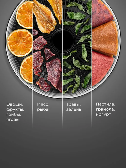 REDMOND Сушилка электрическая для овощей и фруктов FD1101, Черный, черный, фото 2