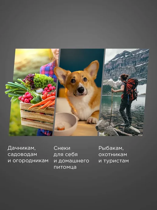 REDMOND Сушилка электрическая для овощей и фруктов FD1101, Черный, черный, фото 3