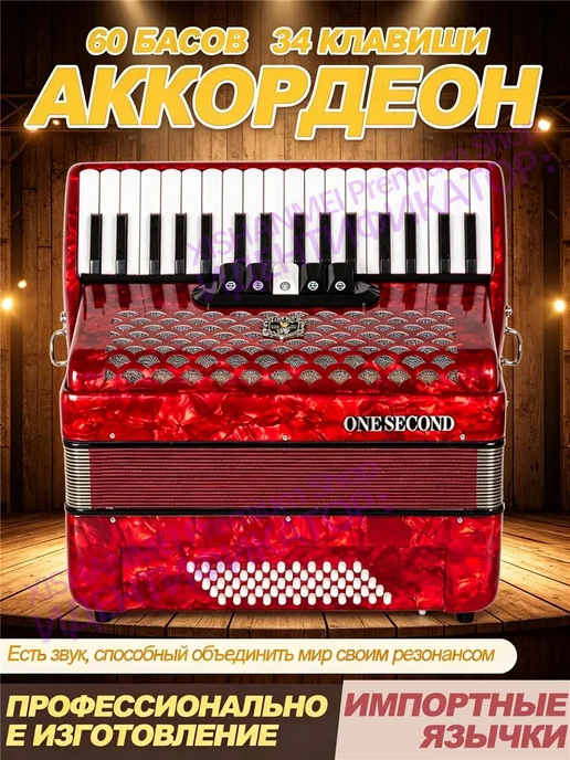 Профессиональный и начинающий клавишный аккордеон, красный