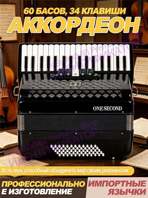Профессиональный и начинающий клавишный аккордеон, черный