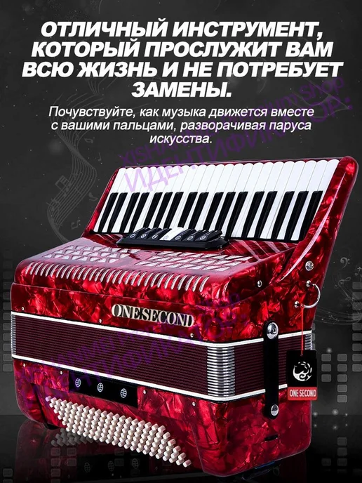 Профессиональный и начинающий клавишный аккордеон, черный, фото 7