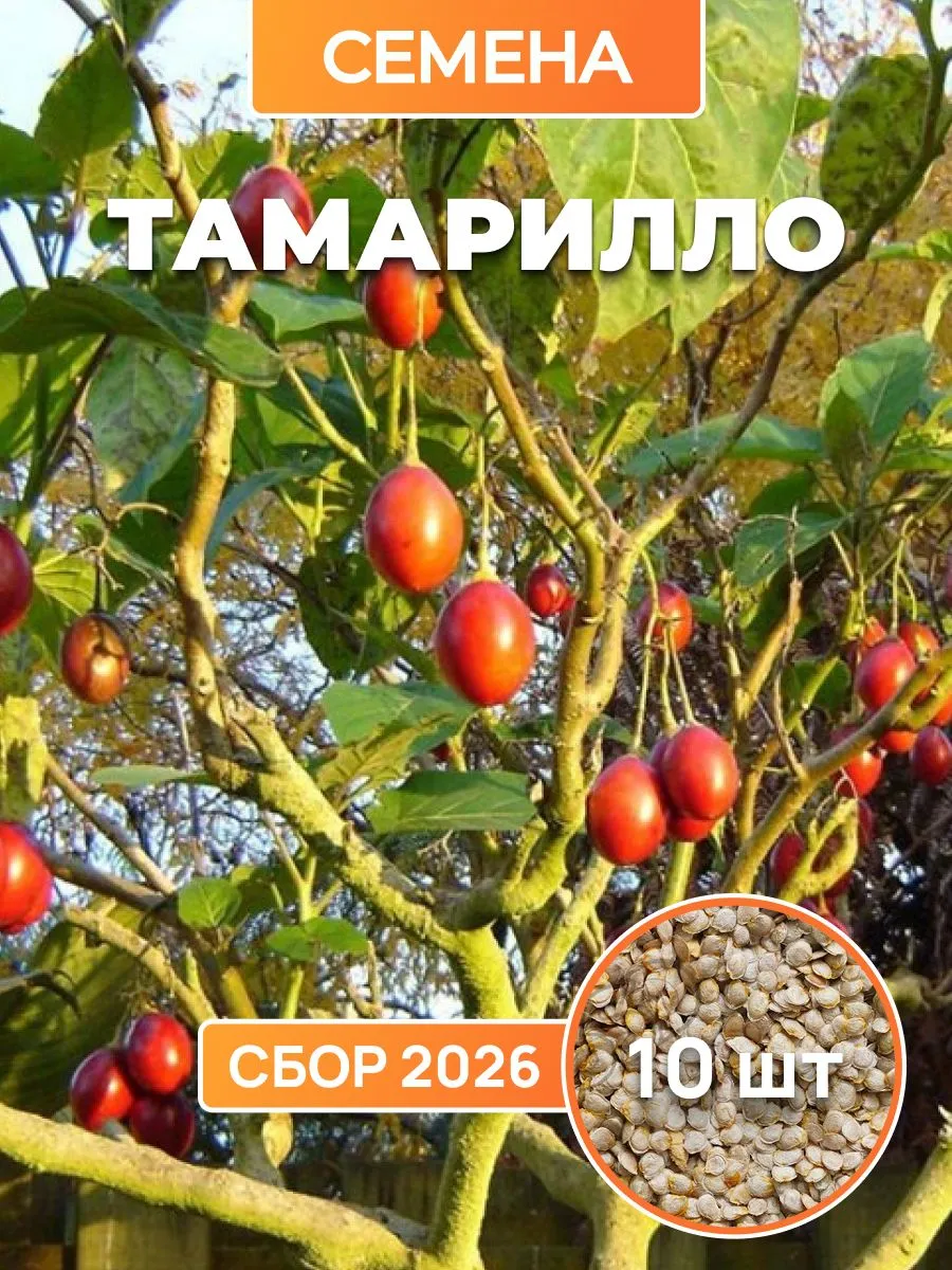 Тамарилло, томатное дерево, семена 10 шт