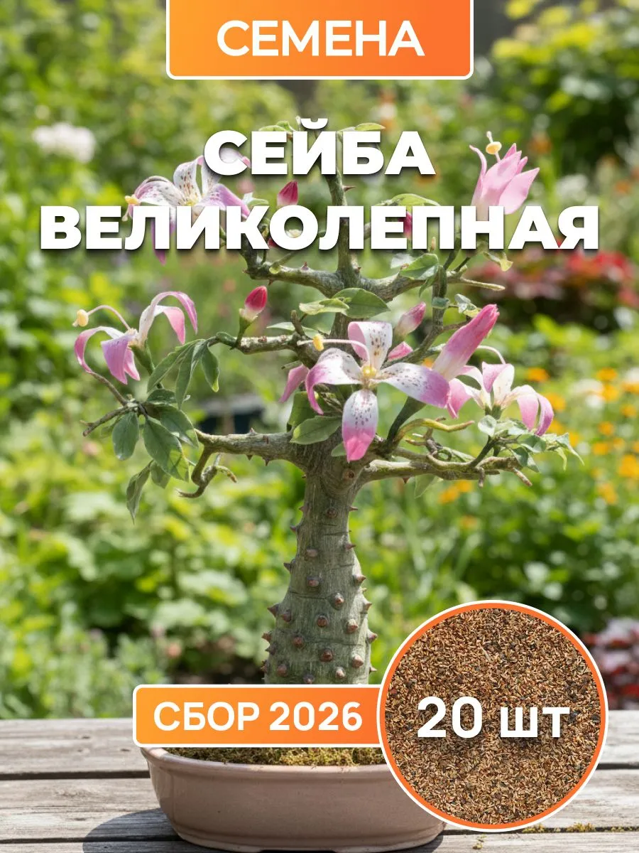 Сейба великолепная, комнатная, семена 20 шт