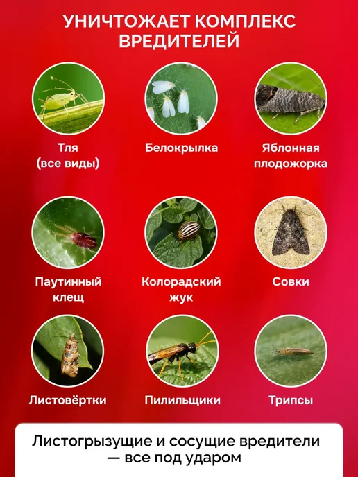 МосАгро Фитоверм от вредителей, 2 мл, 2 мл, фото 2