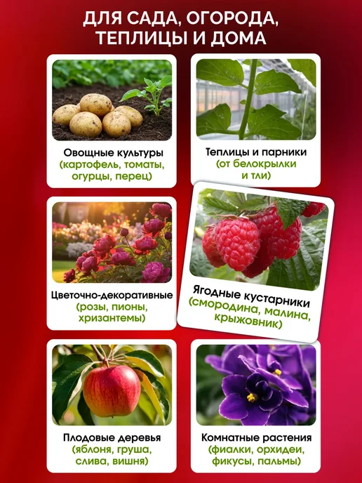 МосАгро Фитоверм от вредителей, 2 мл, 2 мл, фото 4