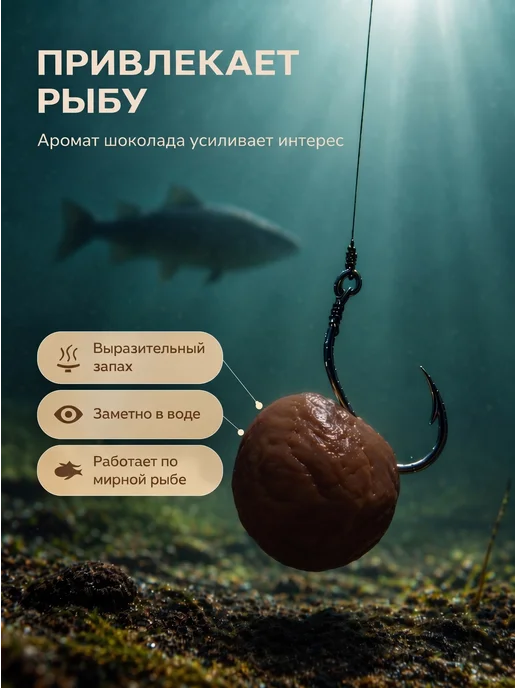 Family Joys Home Протеиновое тесто для рыбалки №1, 100 г, Шоколад, 100 г, фото 3