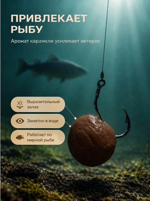 Family Joys Home Протеиновое тесто для рыбалки №1, 100 г, Карамель, 100 г, фото 3
