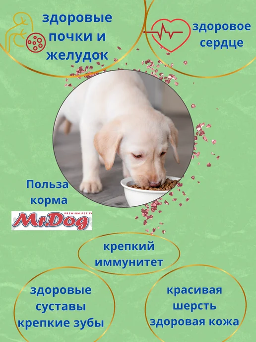 Сухой корм Mr.Wildog для собак, щенки, индейка, 0,5 кг, фото 2
