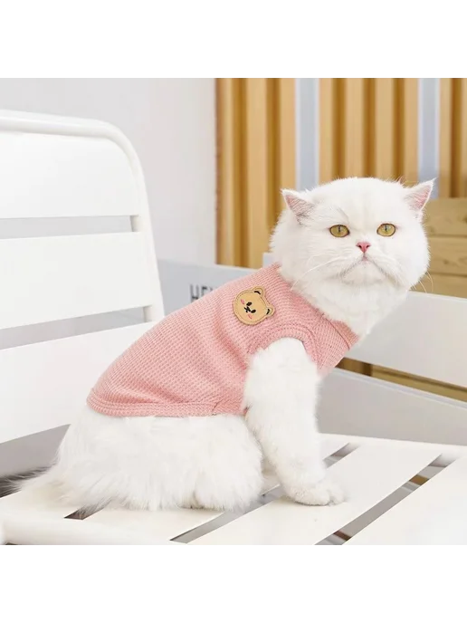 одежда для кошек, вариант, фото 8