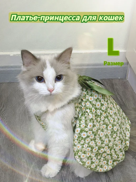 одежда для кошек, вариант, фото 3
