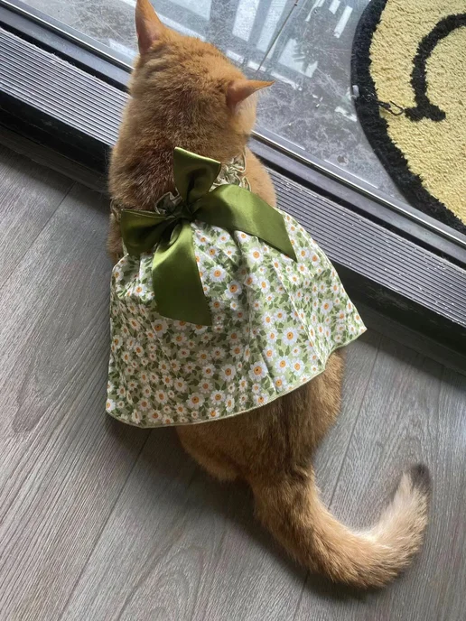 одежда для кошек, вариант, фото 7