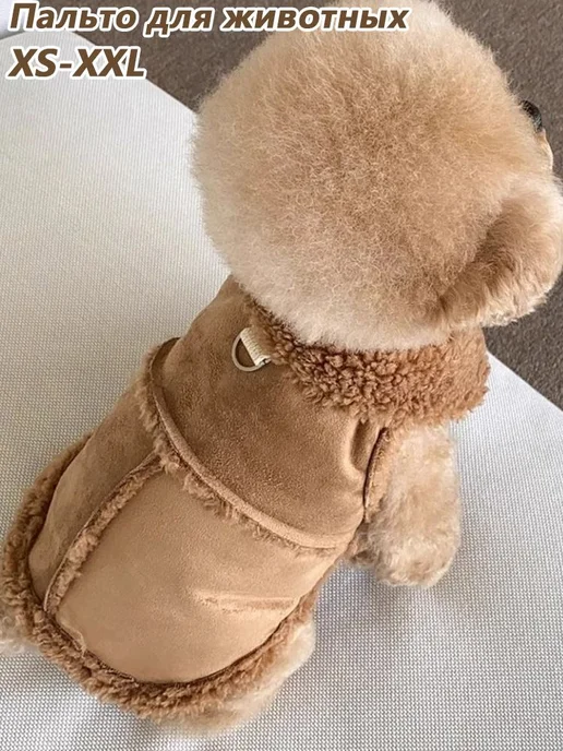 одежда для кошек, вариант, фото 2