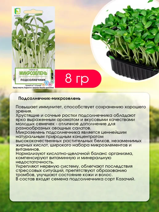 Агрохолдинг ПОИСК Микрозелень набор для выращивания на окне 6 шт, 6 шт, фото 6