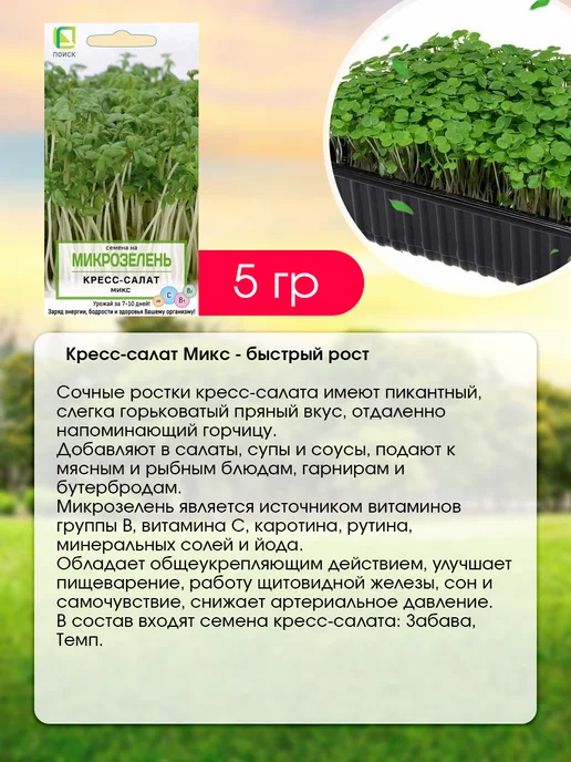 Агрохолдинг ПОИСК Микрозелень набор для выращивания на окне 6 шт, 6 шт, фото 7