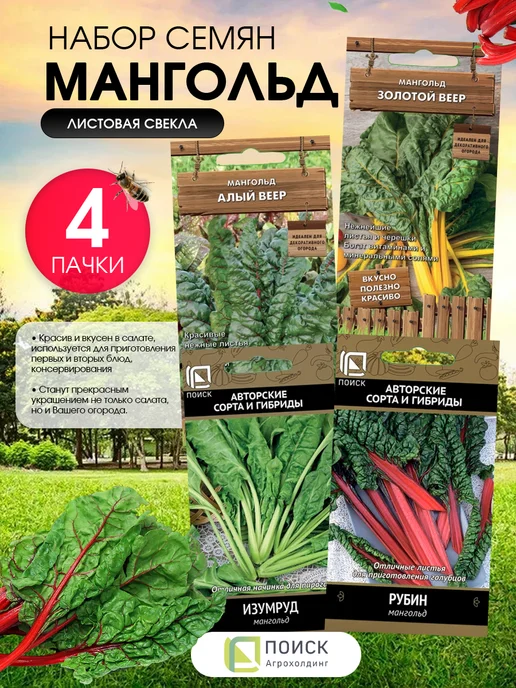 Агрохолдинг ПОИСК Мангольд листовой семена 4 шт, 4 шт, фото 2